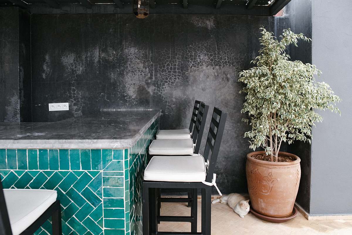 plant three black-and-white bar stools ahead morocco